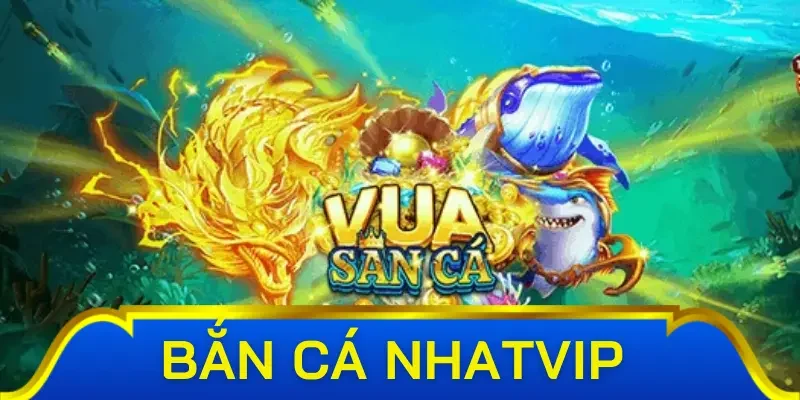 Thiết kế đẹp mắt