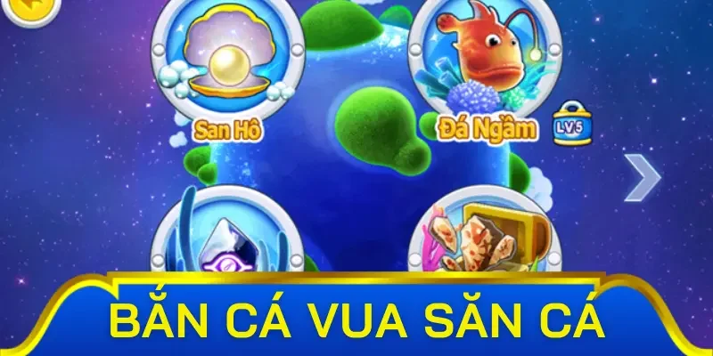 Các sinh vật biển mang hệ số thưởng hấp dẫn