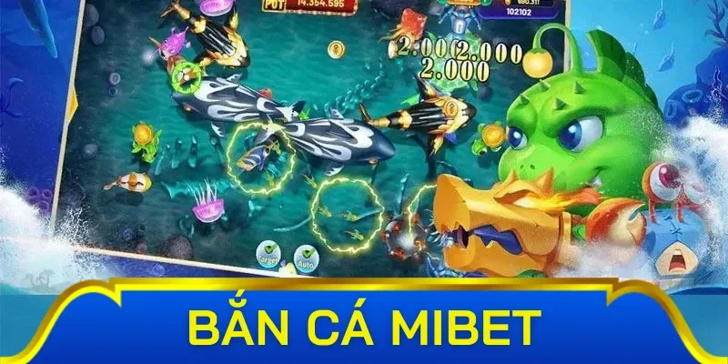 Những lưu ý người chơi cần nắm khi chơi bắn cái Mibet