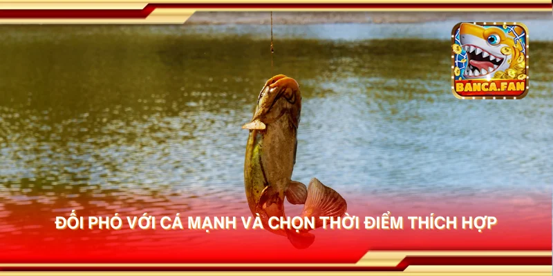 Đối phó với cá mạnh và chọn thời điểm thích hợp