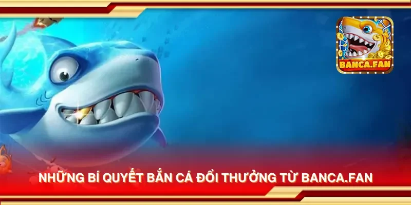 Những bí quyết bắn cá đổi thưởng từ flyaba.co.com