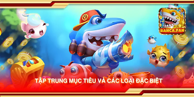 Tập trung mục tiêu và các loại đặc biệt