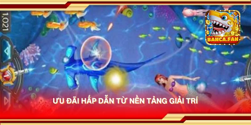 Bắn Cá Dk8 - Đăng Ký Và Nhận Ưu Đãi Lớn Tại Nền Tảng