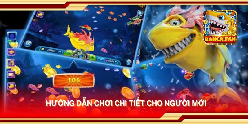 Hướng dẫn chơi chi tiết cho người mới
